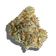 Gumbo-4.webp